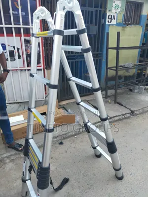 3.1 Plus 3.1 Aluminum Telescopic Ladder
