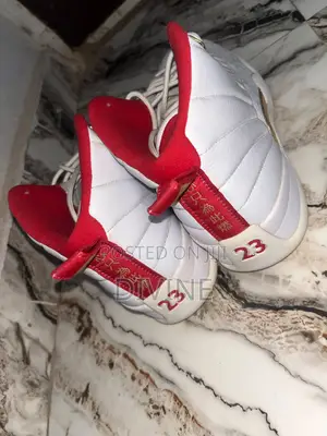 These Are the Air Jordan 12 Retro