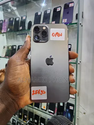 Apple iPhone 12 Pro Max 256 GB Blue