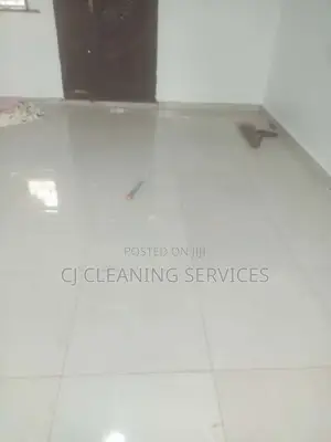 Cleaning of One Bedroom