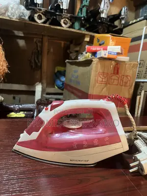 Royal Master Steam Iron