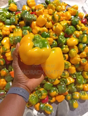 Fresh Colourful Bell Peppers
