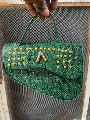 Woman Bag Just Small Money