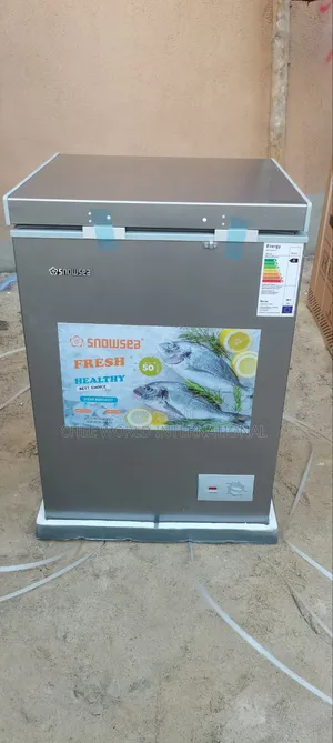 Snowsea BD158 Freezer 120L – Spacious, Efficient Durable