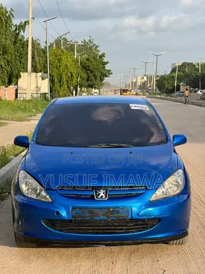 Peugeot 307 2005 Blue
