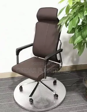 Executive Office Chair