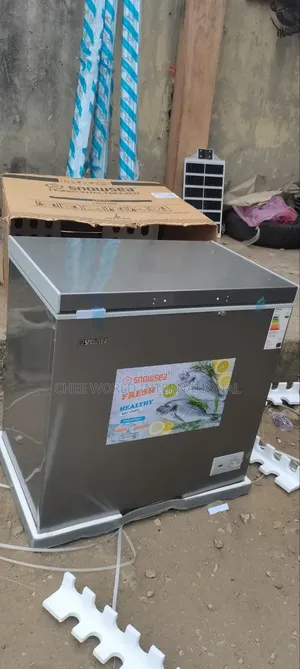 Original Snowsea BD258, 200L With Sensor Glass and 2years Warranty