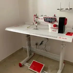 Two Lion Direct Drive Industrial Sewing Machine