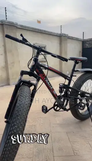 Trust Challenge JL-580 Full Suspension 26" Fat Tire Bike