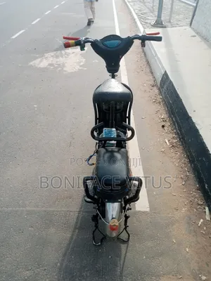 Electric Bike 48v