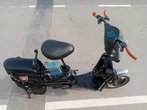 Electric Bike 48v