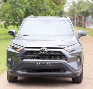 Toyota RAV4 2024 Gray