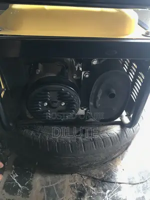 Few Months Senwei Generator for Sale