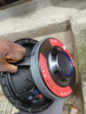 12 Inch Nacked Speaker