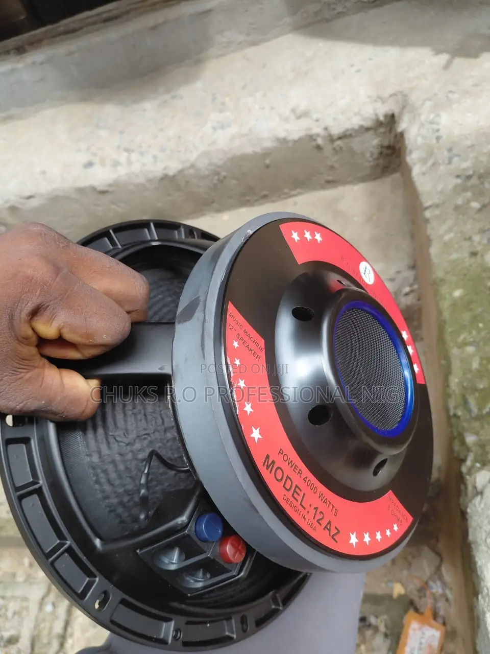 12 Inch Nacked Speaker