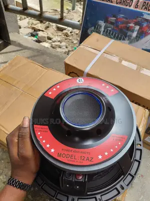 12 Inch Nacked Speaker