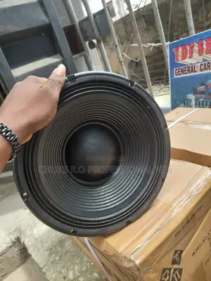 12 Inch Nacked Speaker