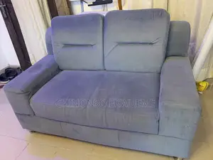 Neatly Used Sofa