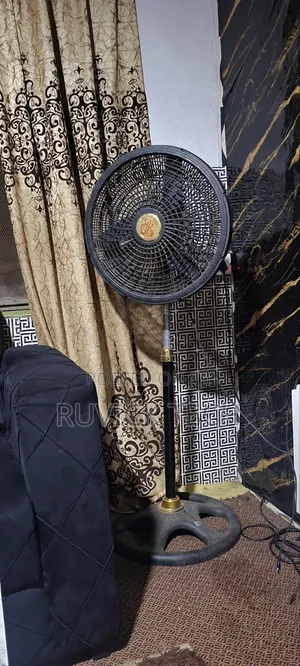 BB Standing Fan