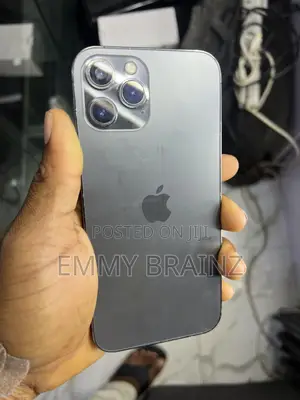 Apple iPhone 12 Pro Max 128 GB Gray