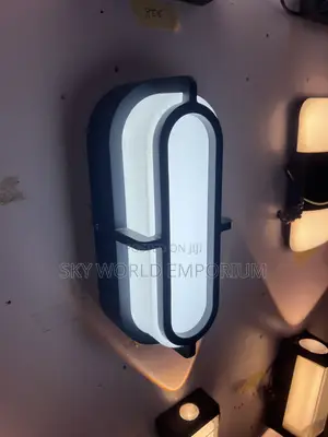 Ip65 Fancy Wall Light