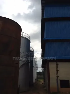 C of O Certificate Plam Oils Refinery