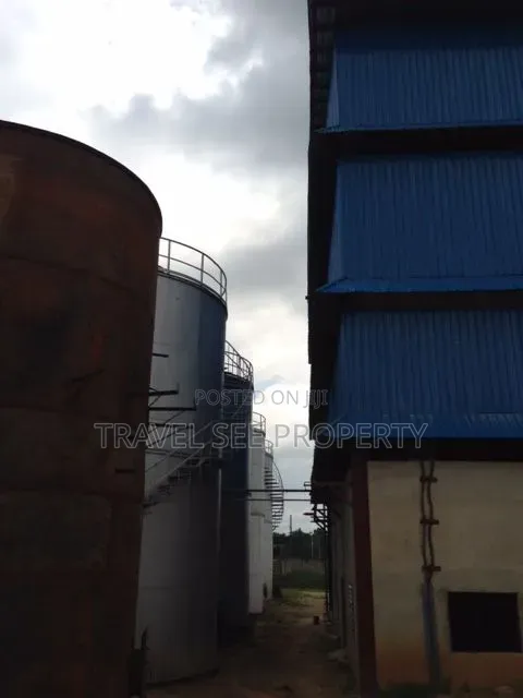C of O Certificate Plam Oils Refinery