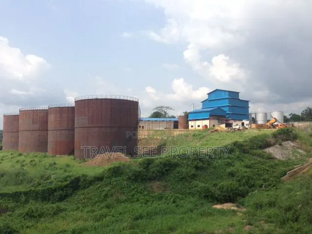 C of O Certificate Plam Oils Refinery