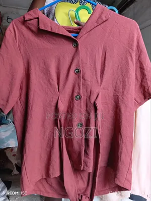 170 Pieces of Ladies Mixed Tops at 