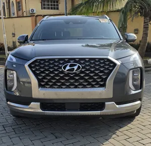 Hyundai Palisade 2022 Gray