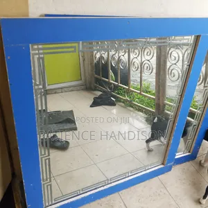 6 Months Used Mirror