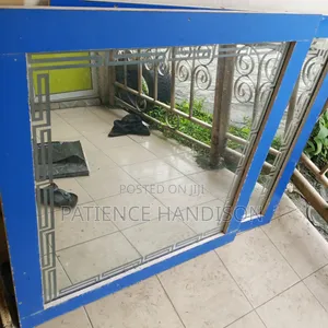 6 Months Used Mirror
