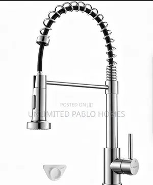 Executive Spring Kitchen Sink Mixer Tap / 2-in-1