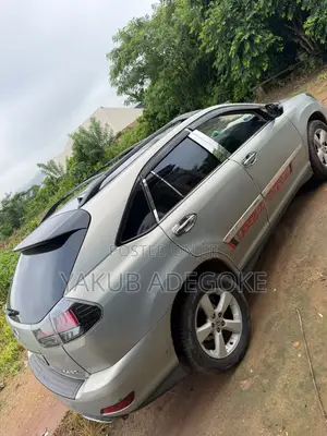 Lexus RX 330 2006 Gray