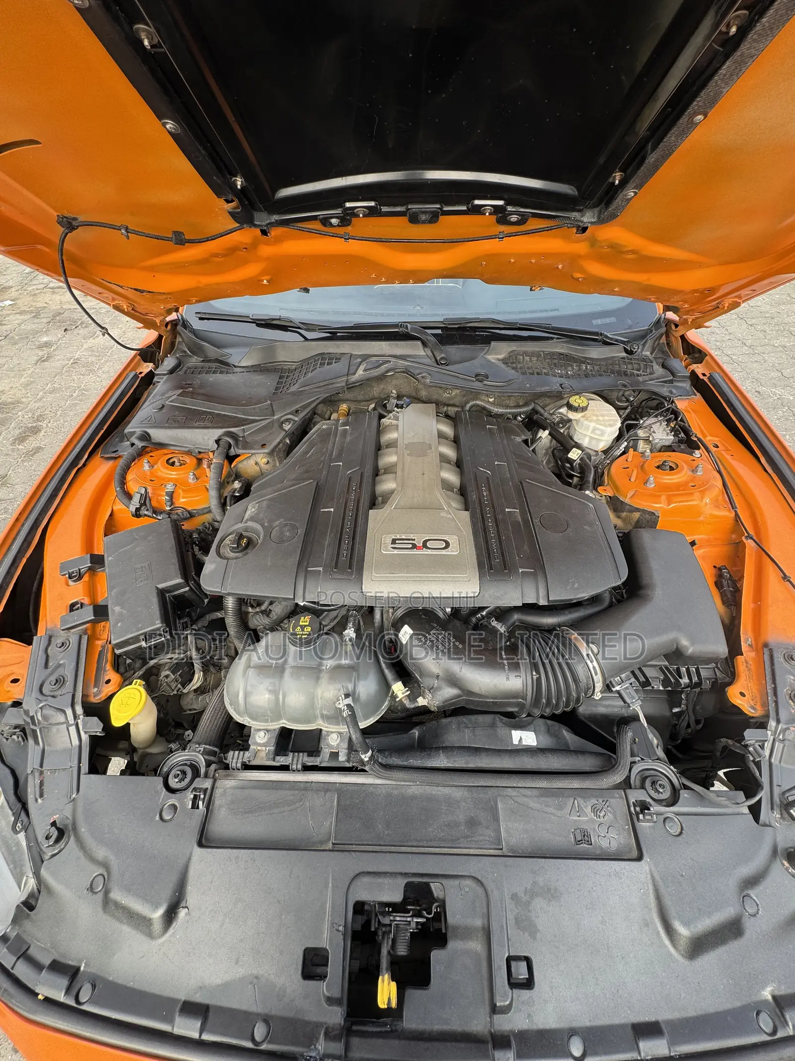 Ford Mustang 2019 Orange
