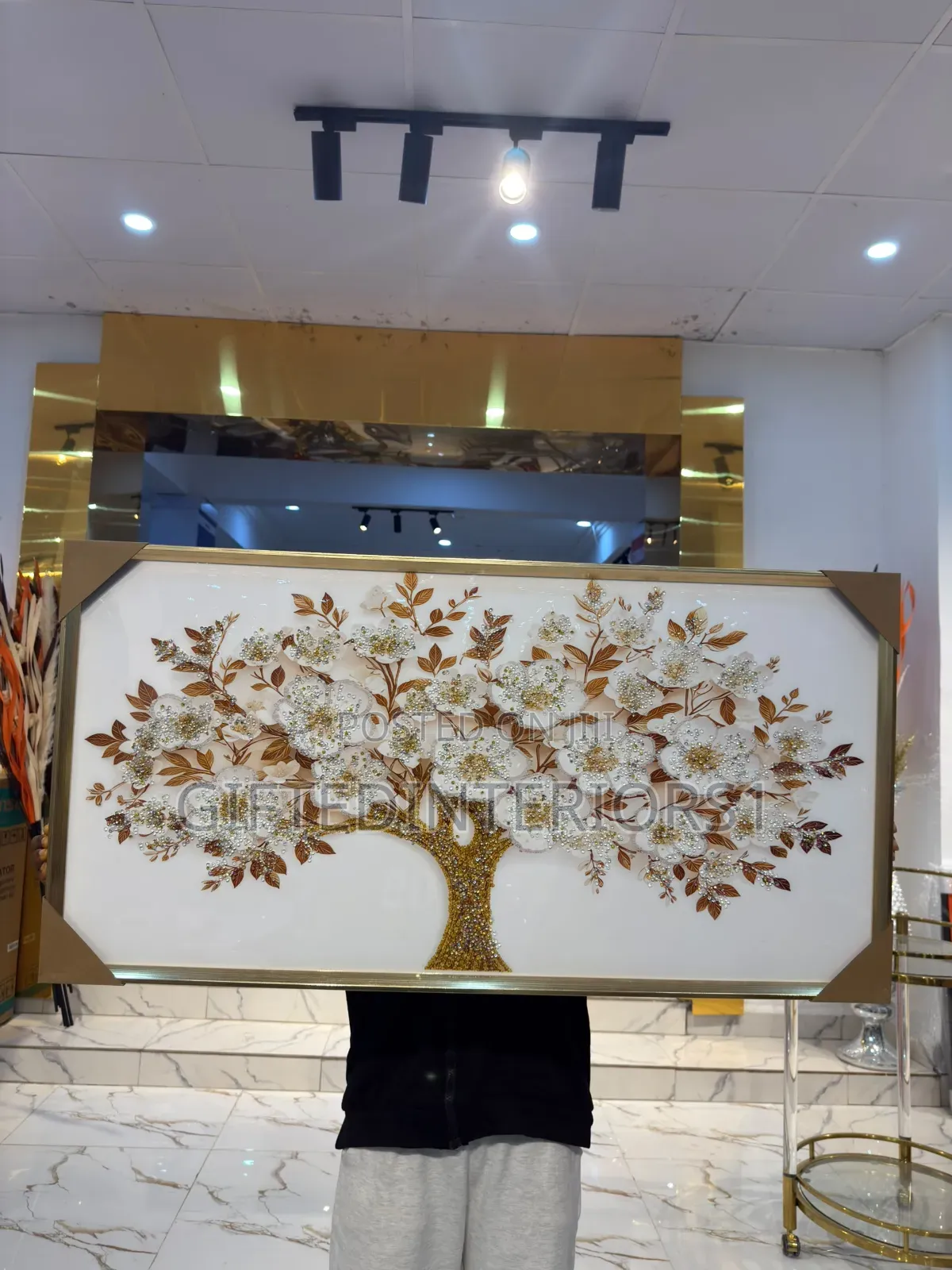 Big Wall Luxury Frames
