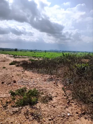 20hectares of Land for Sale in Orozo