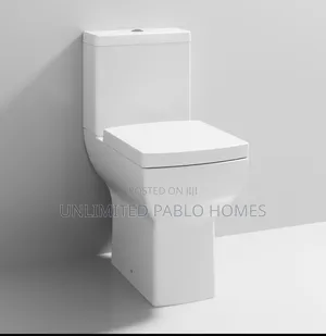 High-Quality Executive One-Piece Water Closet Set