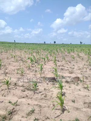 Hectares of Land, for sale.opposite Navy Estate Phase 2, Karshi