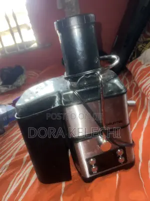 Fruit Blender