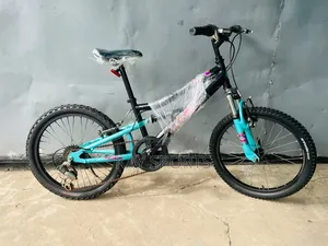 Apollo Suspension Children Bicycle
