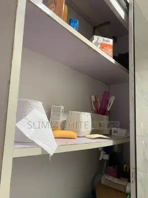 Premium Bathroom Mirror Storage Cabinet With Shelves – Very Neat
