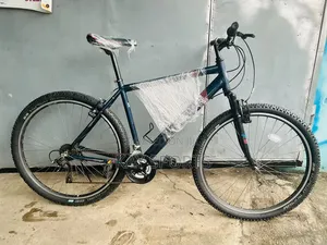 Apollo MTB Adult Sport Bicycle 29 Inch