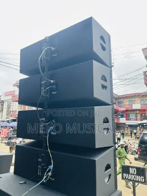 Infinity 12” Line Array Speaker
