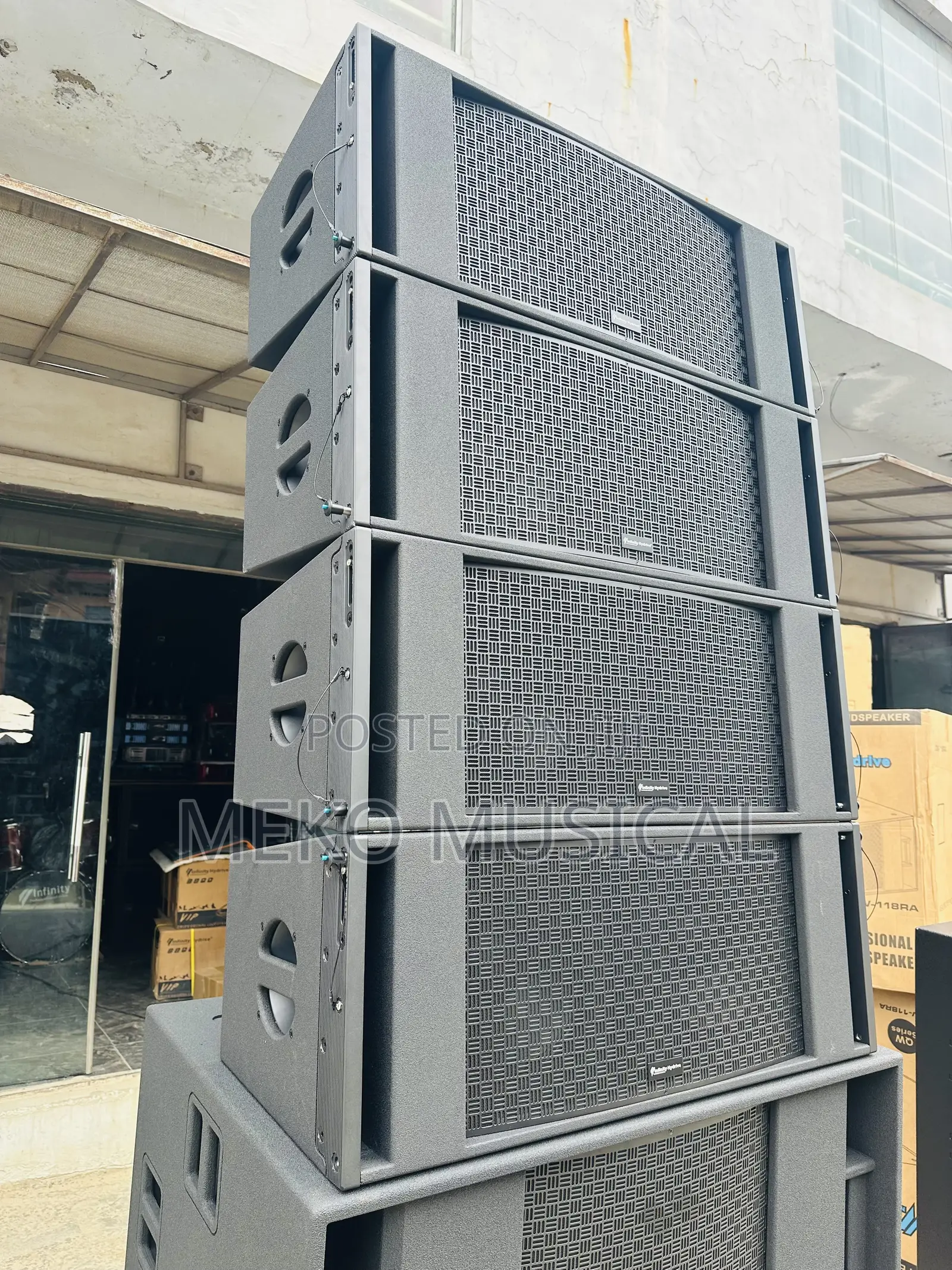 Infinity 12” Line Array Speaker