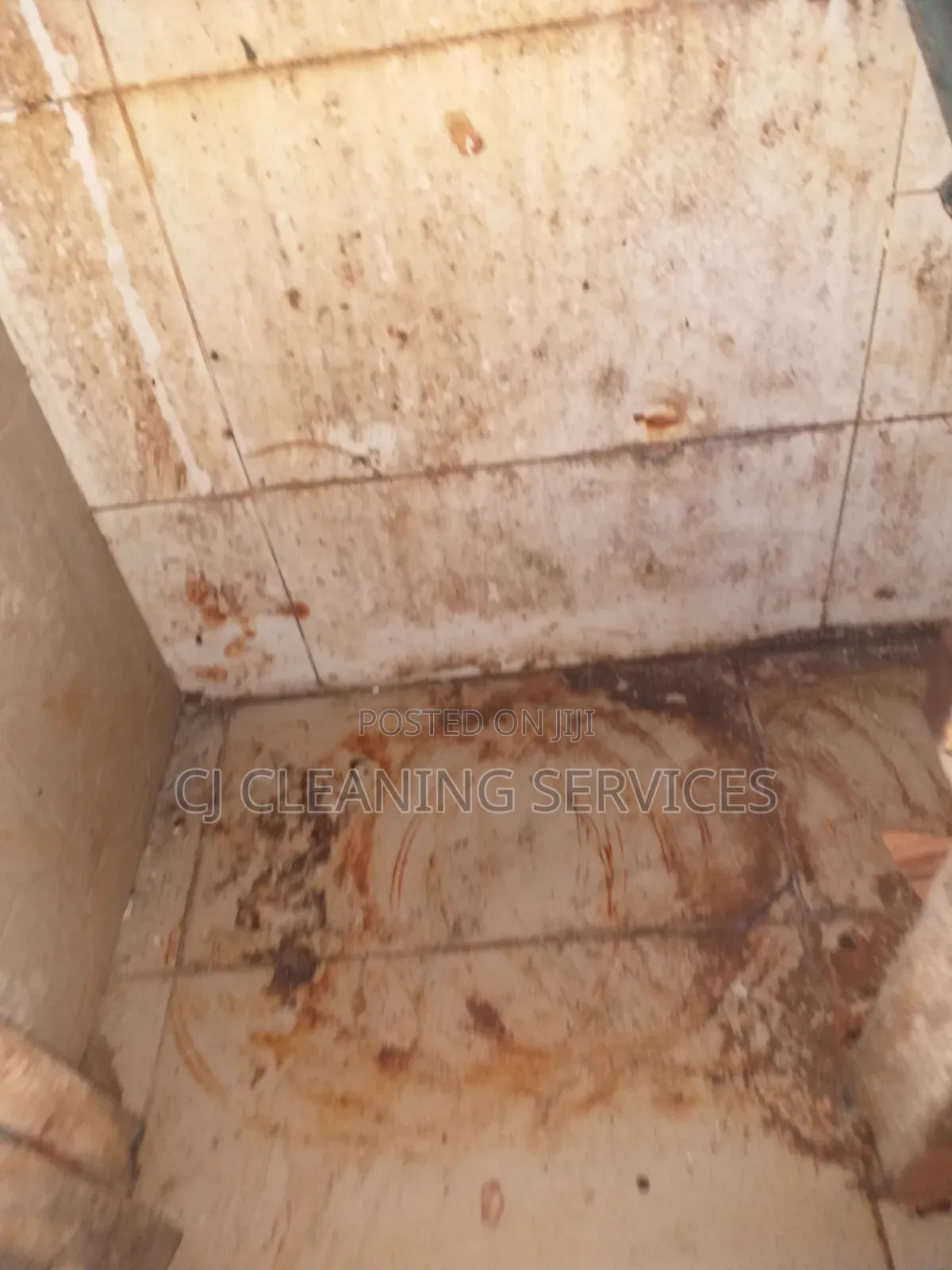 Cleaning of One Bedroom