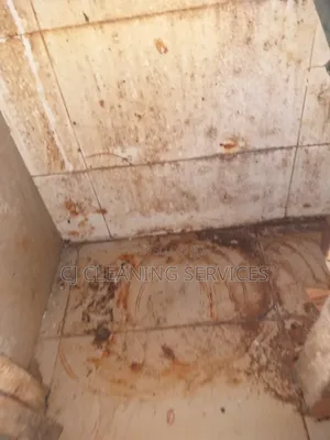 Cleaning of One Bedroom
