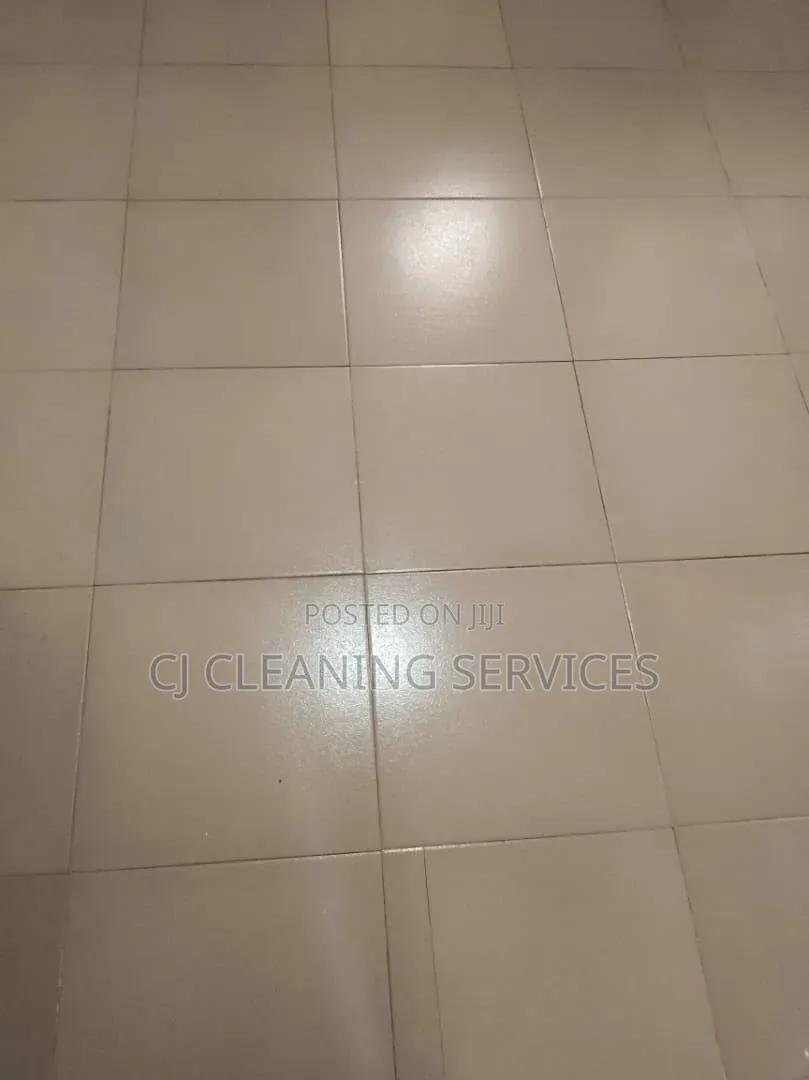 Cleaning of One Bedroom