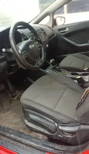 Professional Car Interior Detailing | Deep Cleaning Stain Removal
