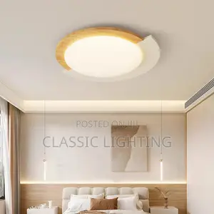 500mm Morden Ceiling Chandelier Light